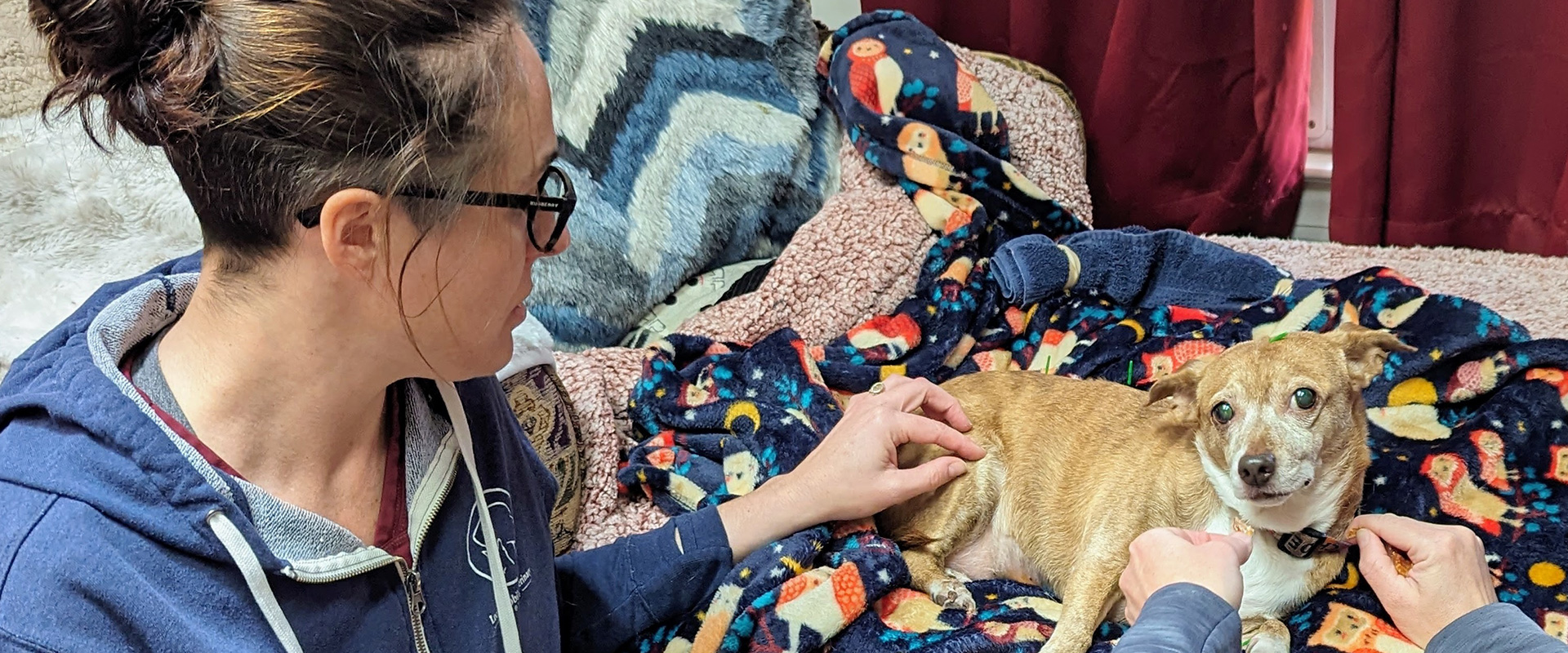 Image of /assets/images/blog/acupuncture.jpg