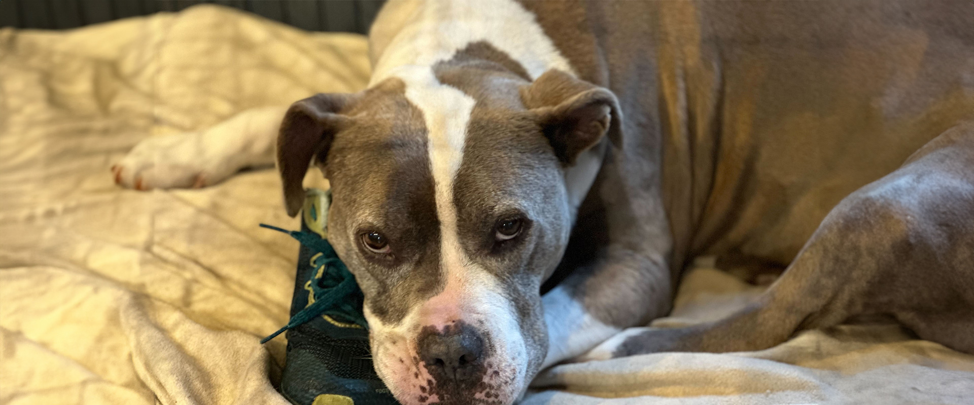 Image of /assets/images/blog/anxiety.jpg